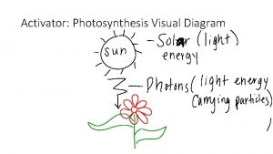 Activator Photosynthesis Visual Diagram Photosynthesis Foldable 1 Solar