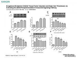 Exogenous Bradykinin Inhibits Tissue Factor Induction and Deep