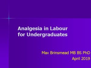 Analgesia in Labour for Undergraduates Max Brinsmead MB