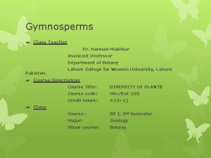 Gymnosperms Class Teacher Dr Hannan Mukhtar Assistant Professor