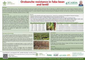 Orobanche resistance in faba bean and lentil ABSTRACT