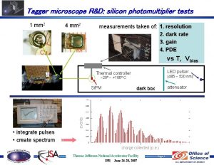 Tagger microscope RD silicon photomultiplier tests 1 mm