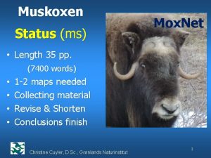 Muskoxen Status ms Mox Net Length 35 pp
