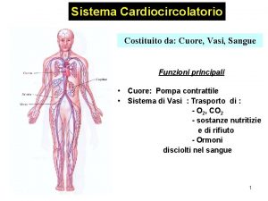 Sistema Cardiocircolatorio Costituito da Cuore Vasi Sangue Funzioni