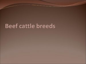 Beef cattle breeds Why beef Beef nutritional facts