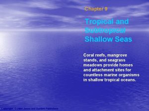 Chapter 9 Tropical and Subtropical Shallow Seas Coral