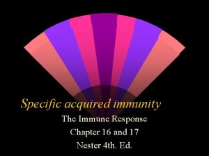 Specific acquired immunity The Immune Response Chapter 16