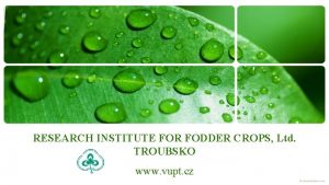 RESEARCH INSTITUTE FOR FODDER CROPS Ltd TROUBSKO www