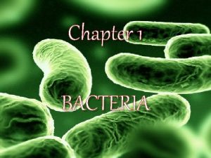 Chapter 1 BACTERIA Kingdom Eubacteria True Bacteria Bacteria
