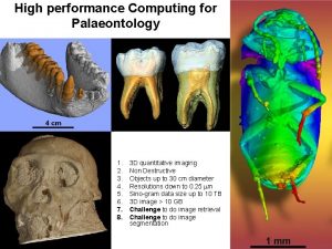 High performance Computing for Palaeontology 1 2 3