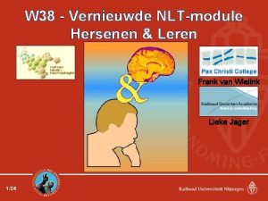 W 38 Vernieuwde NLTmodule Hersenen Leren Frank van