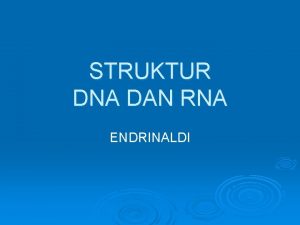 STRUKTUR DNA DAN RNA ENDRINALDI ASAM NUKLEAT Asam