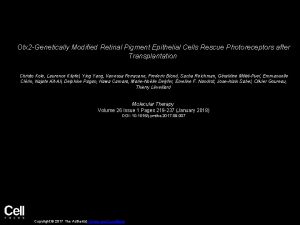 Otx 2 Genetically Modified Retinal Pigment Epithelial Cells