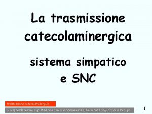 La trasmissione catecolaminergica sistema simpatico e SNC trasmissione