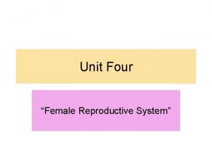 Unit Four Female Reproductive System Female Reproductive System