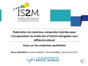 laboration de matriaux composites hybrides pour lencapsulation de