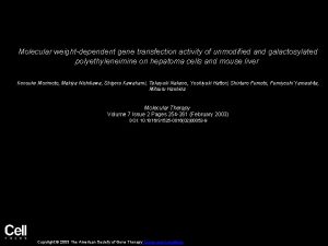 Molecular weightdependent gene transfection activity of unmodified and