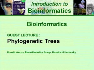 Bioinformatics GUEST LECTURE Phylogenetic Trees Ronald Westra Biomathematics