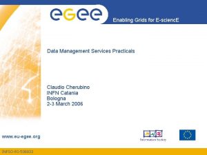 Enabling Grids for Escienc E Data Management Services