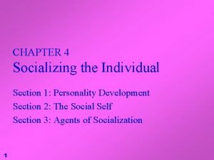 CHAPTER 4 Socializing the Individual Section 1 Personality
