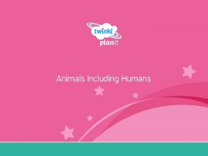 Animals Including Humans Year One I can compare