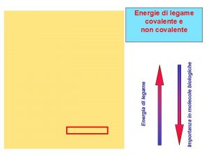 Importanza in molecole biologiche Energia di legame Energie