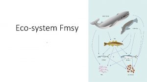 Ecosystem Fmsy Ecosystem productivity Basic ecosystem concepts 1