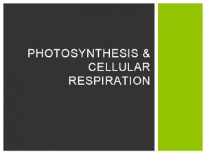 PHOTOSYNTHESIS CELLULAR RESPIRATION PHOTOSYNTHESIS Photosynthesis is the process