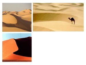 Deserts What is a desert The desert is