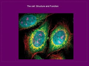 The cell Structure and Function Cell Smallest unit
