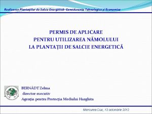 Realizarea Plantaiilor de Salcie Energetic Considerente Tehnologice i