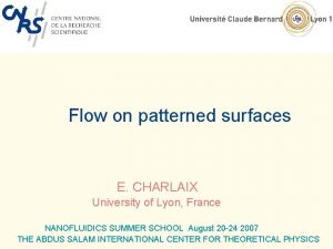 Flow on patterned surfaces E CHARLAIX University of