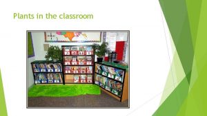 Plants in the classroom Makerspaces create collaborate conquer