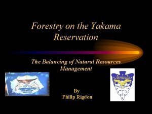 Forestry on the Yakama Reservation The Balancing of