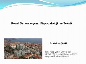 Renal Denervasyon Fizyopatoloji ve Teknik Dr Volkan AKIR