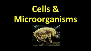 Cells Microorganisms Cells 1 What are cells the