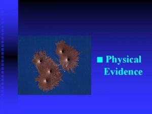 n Physical Evidence What Is Physical Evidence n
