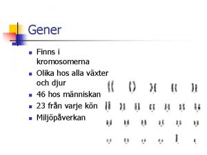 Gener n n n Finns i kromosomerna Olika