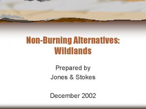 NonBurning Alternatives Wildlands Prepared by Jones Stokes December
