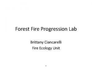 Forest Fire Progression Lab Brittany Ciancarelli Fire Ecology