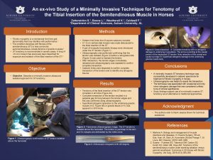 An exvivo Study of a Minimally Invasive Technique