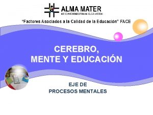 CEREBRO MENTE Y EDUCACIN EJE DE PROCESOS MENTALES