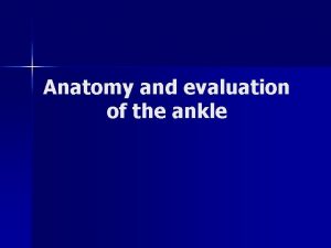 Anatomy and evaluation of the ankle Ankle n