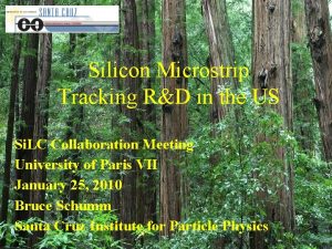 Silicon Microstrip Tracking RD in the US Si