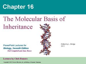 Chapter 16 The Molecular Basis of Inheritance Power