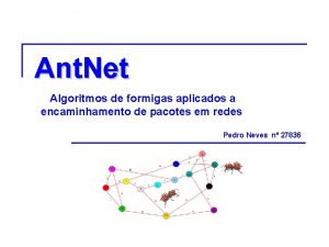 Ant Net Algoritmos de formigas aplicados a encaminhamento