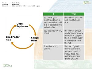 Course Module 4 Lesson 1 Grain Quality Rice