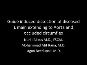 Guide induced dissection of diseased L main extending