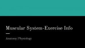 Muscular SystemExercise Info AnatomyPhysiology Benefits of Physical Activity