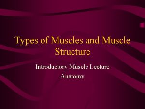 Types of Muscles and Muscle Structure Introductory Muscle